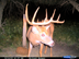 5x5 buck photographed on property pushing a net score of 170 BC